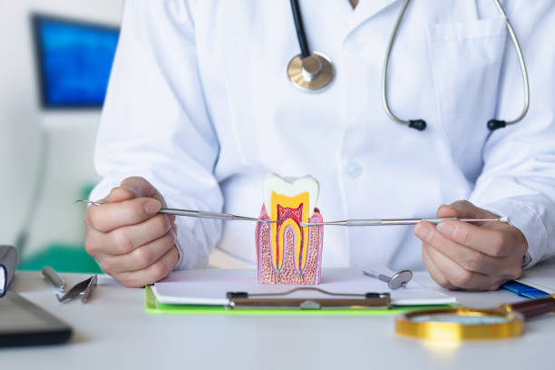 Best Emergency TMJ Treatment in Putnam Lake, NY